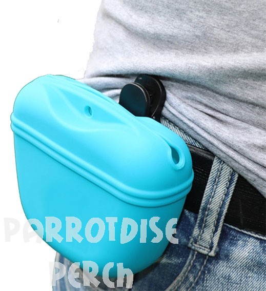 Silicone Treat Bag
