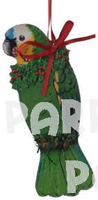 Hand Painted Blue Front Amazon Ornament