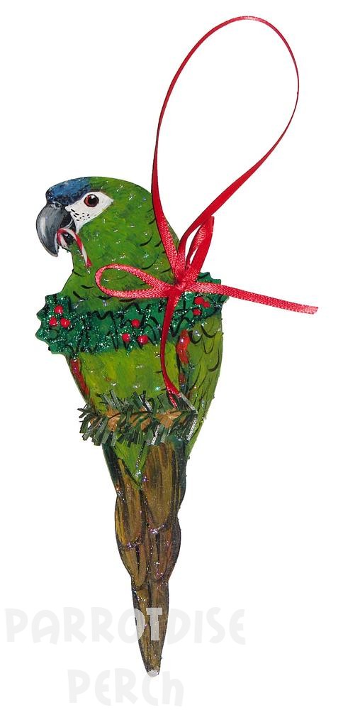 Hand Painted Hahns Macaw Ornament
