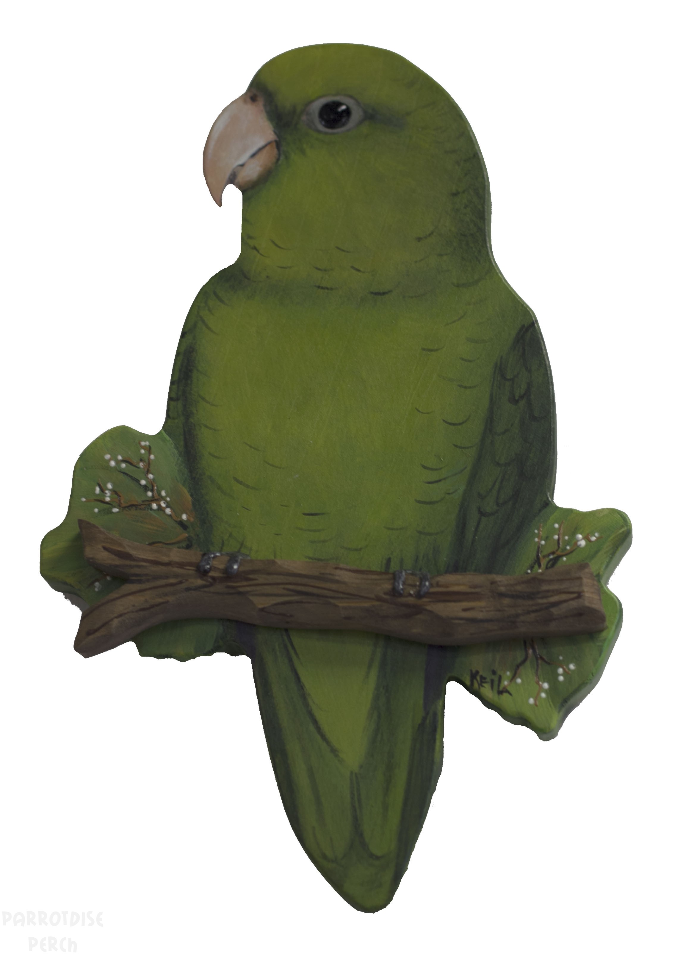 Hand Painted Parrotlet Wall Plaque