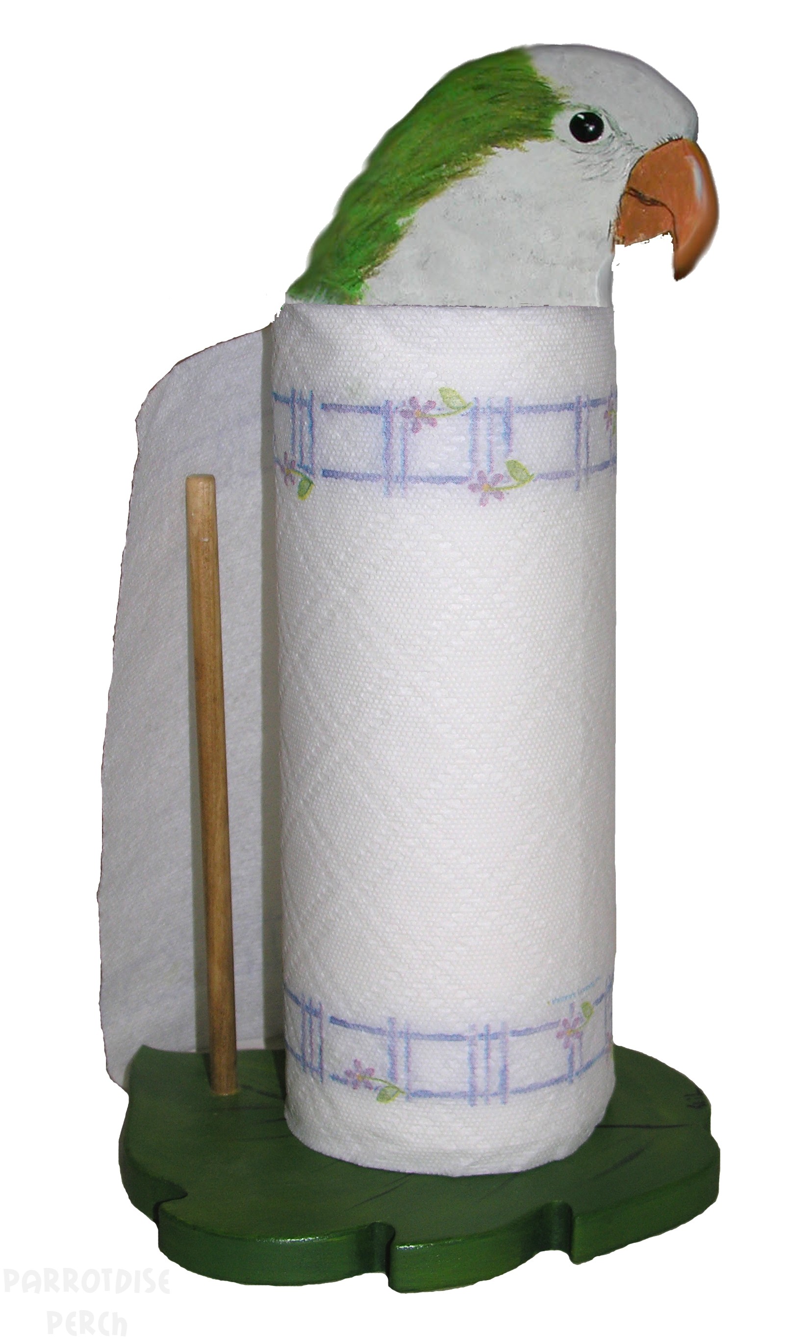 Hand Painted Quaker Parrot Paper Towel Holder