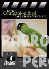 Expert Companion Bird Care Volume 2