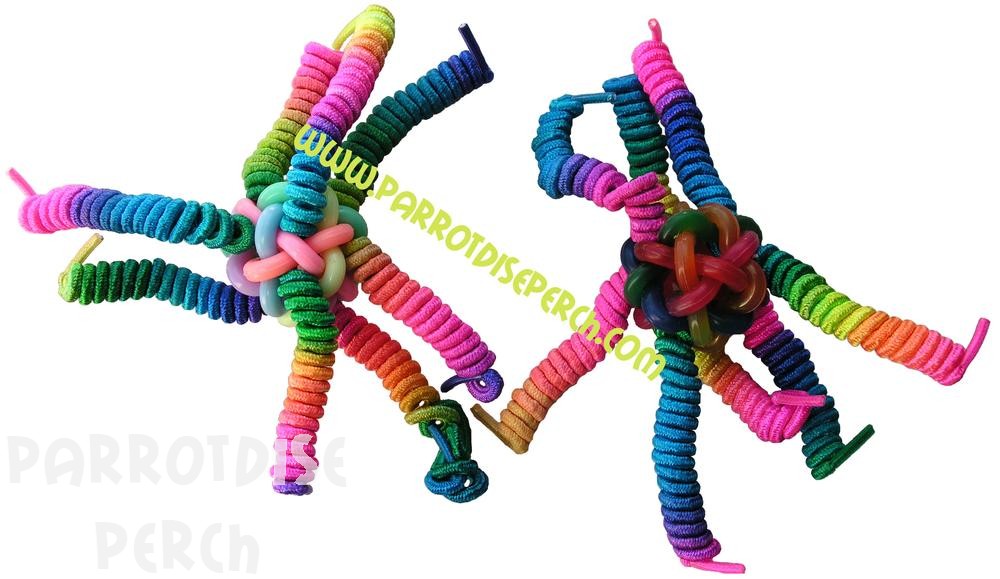 Shoelace Wonder Foot Toy