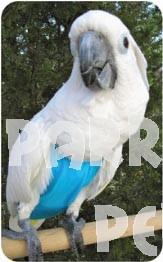 Avian Flightsuit - Jumbo 
