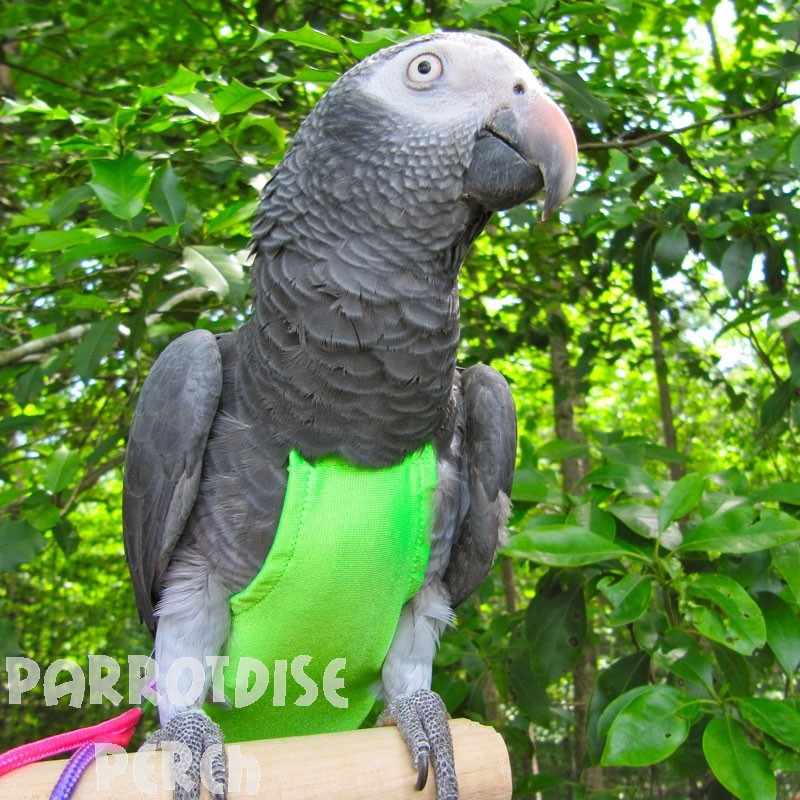 Avian Flightsuits Wide