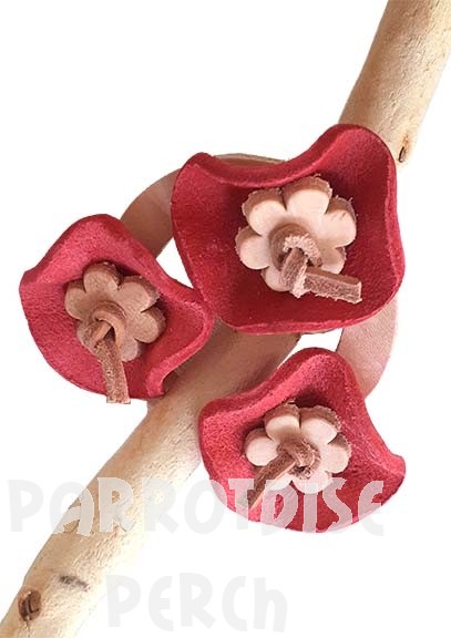 Wild Rose Roost Ring