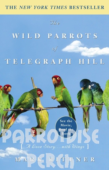 Wild Parrots of Telegraph Hill