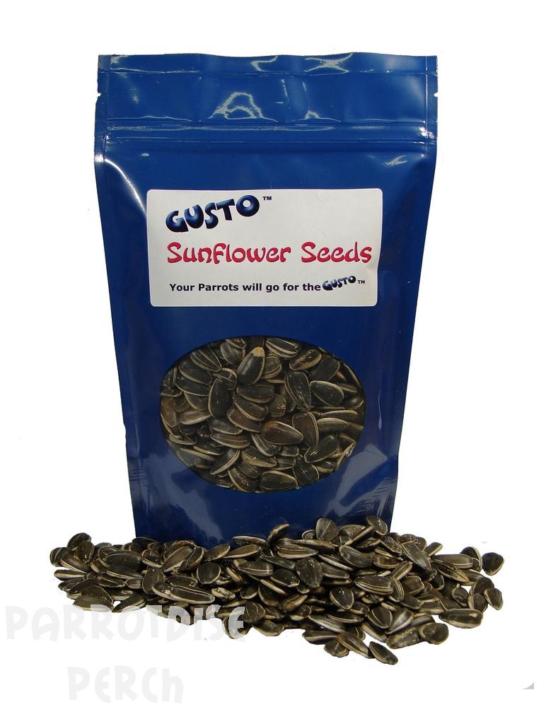 Gusto Sunflower Seeds in Shell