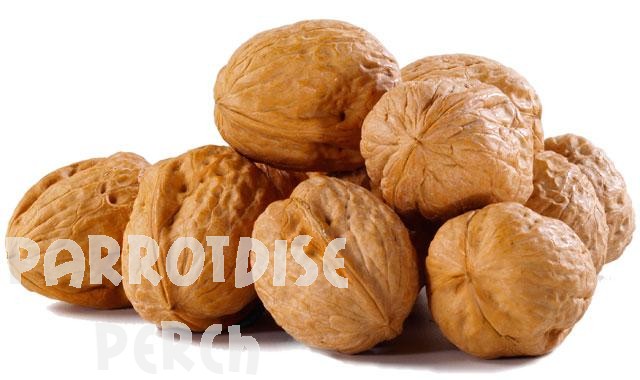 Walnuts in Shell