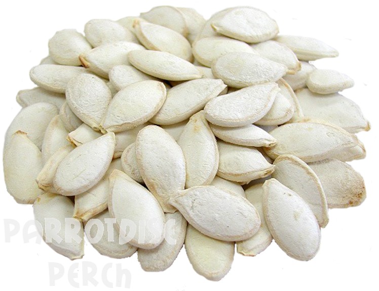 Raw Pumpkin Seeds in Shell