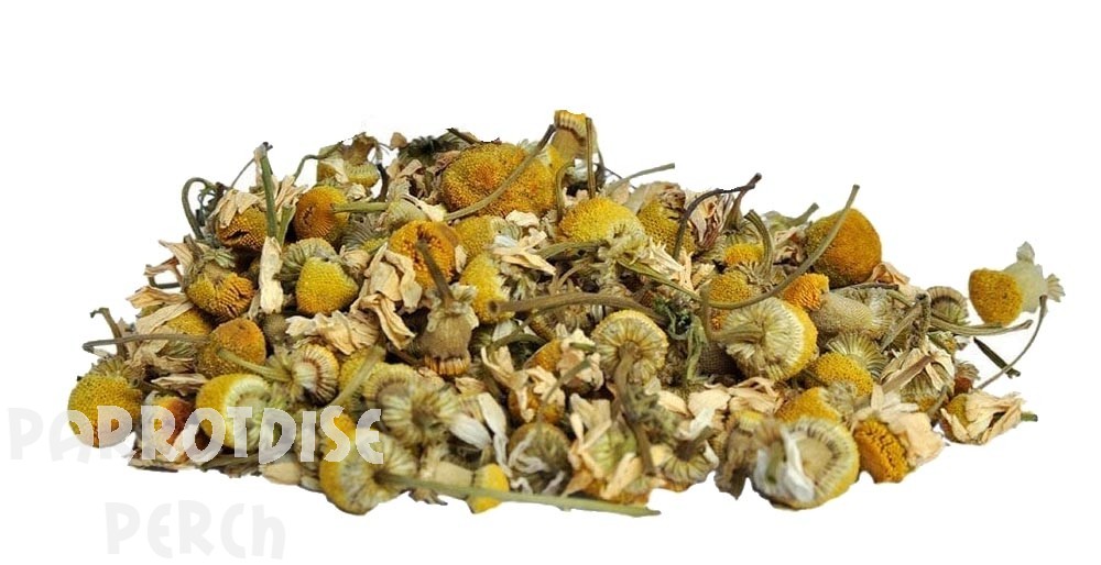 Gusto Chamomile Flower