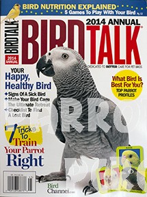 BirdTalk Annual 2014
