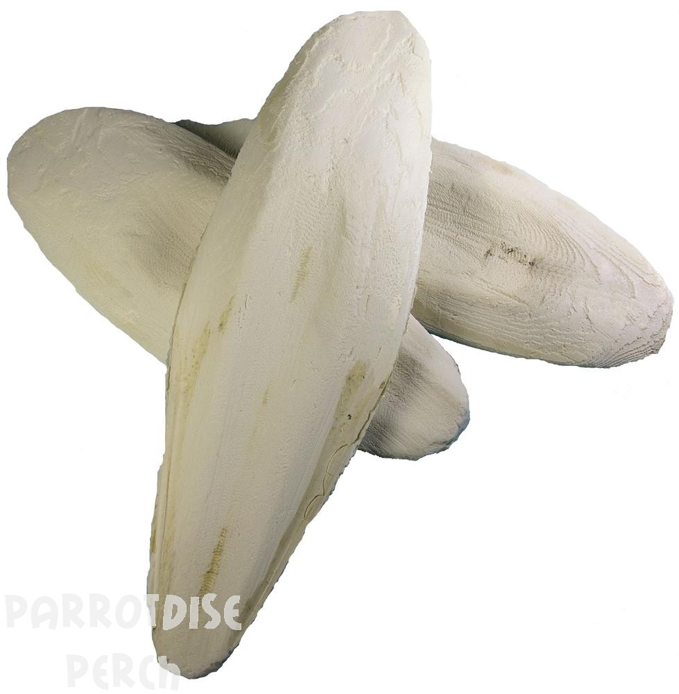 Cuttlebone