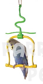 Jungle Swing