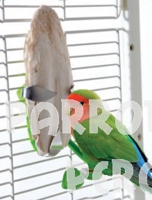 Jungle Cuttlebone Holder