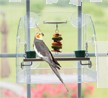 Parrot Window Play Center