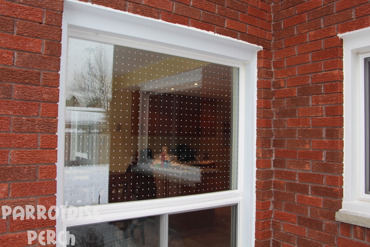 Feather Friendly Window Tape