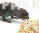Nutrition 101