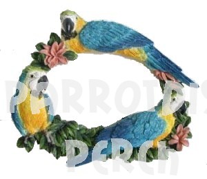 Macaw Picture Frame