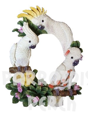 Cockatoo Picture Frame