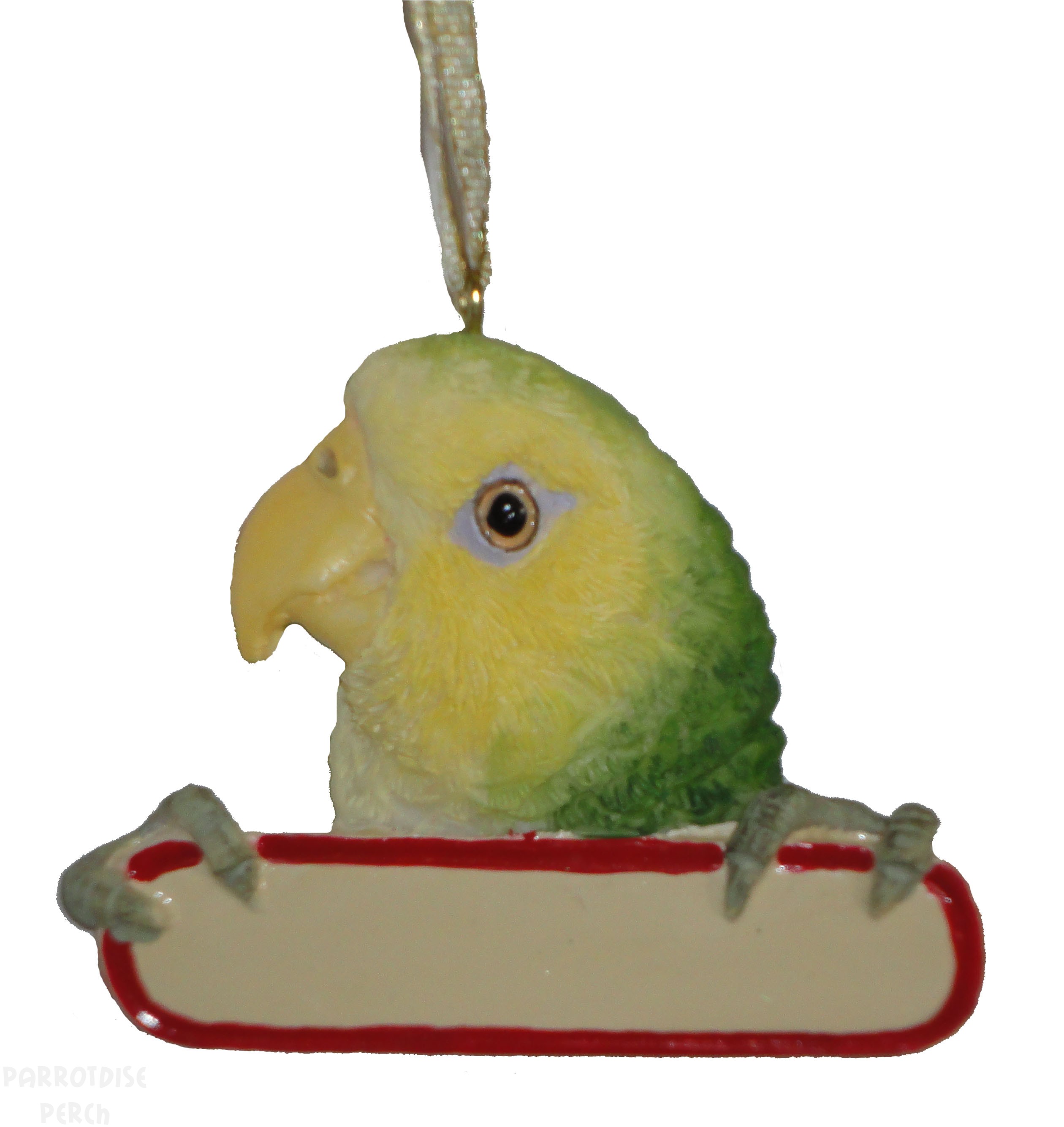 Ornament - Amazon