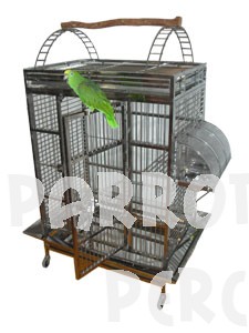 Stainless Steel Cage Medium