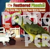 Barnyard Fun Volume 3