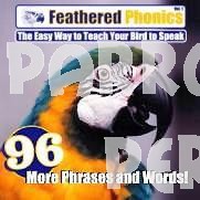 96 Words And Phrases