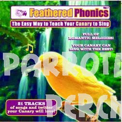 Teach Your Canary to Sing Vol