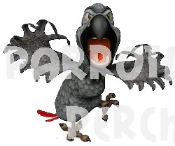 5 Emotions in Parrots May 24 2020