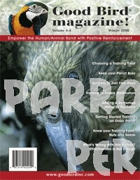 Good Bird Magazine Winter 2008