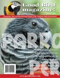 Good Bird Magazine Winter 2009