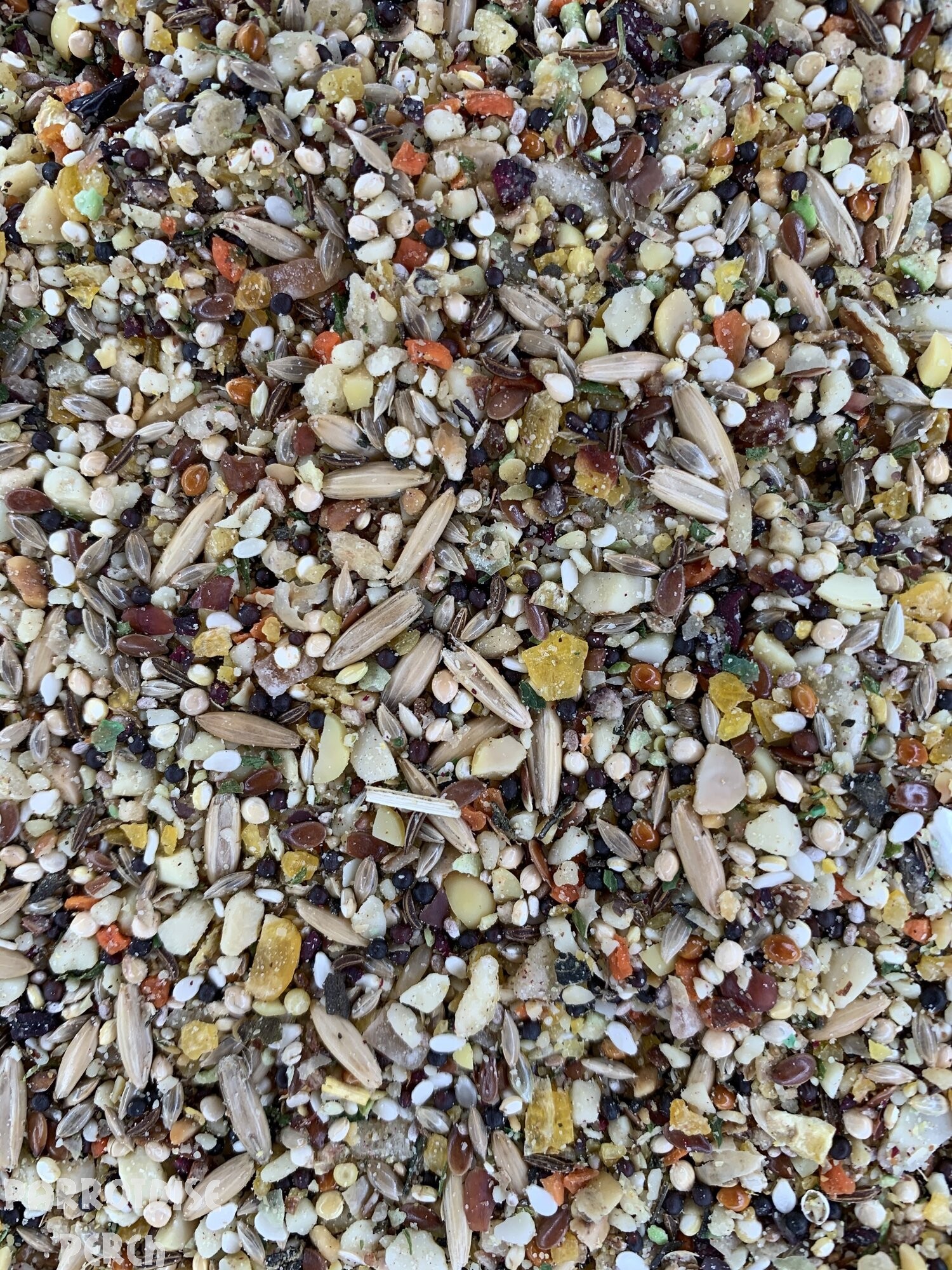 Goldenfeast Patagonian Blend