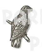 African Grey Pewter Pin