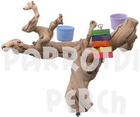 Grapevine Cagetop Perch