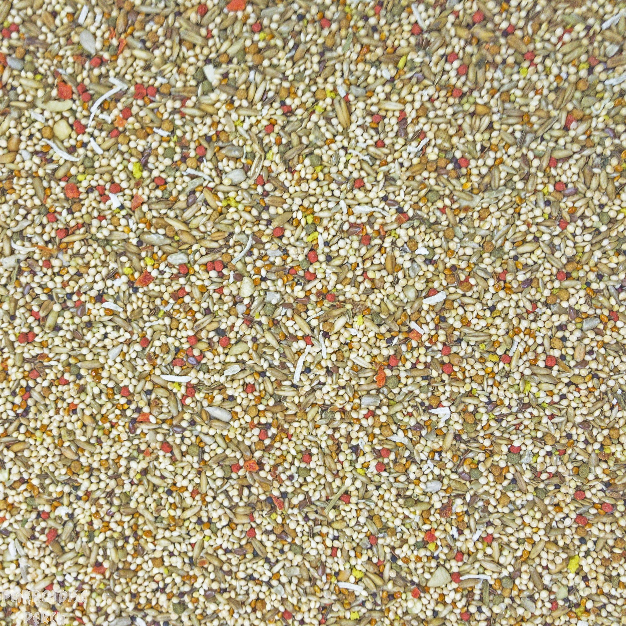 Sunburst Gourmet - Parakeet