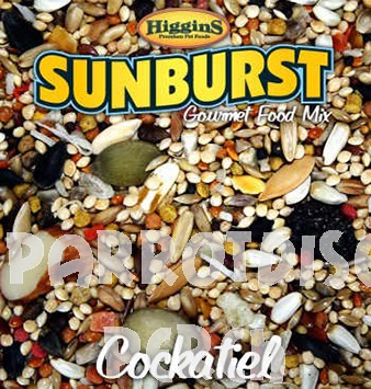 Sunburst Gourmet - Cockatiel