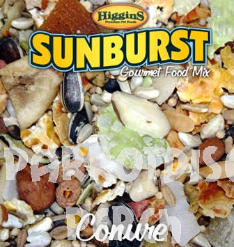 Sunburst Gourmet - Conure