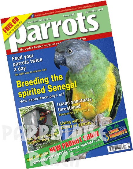 Parrots Magazine 2011