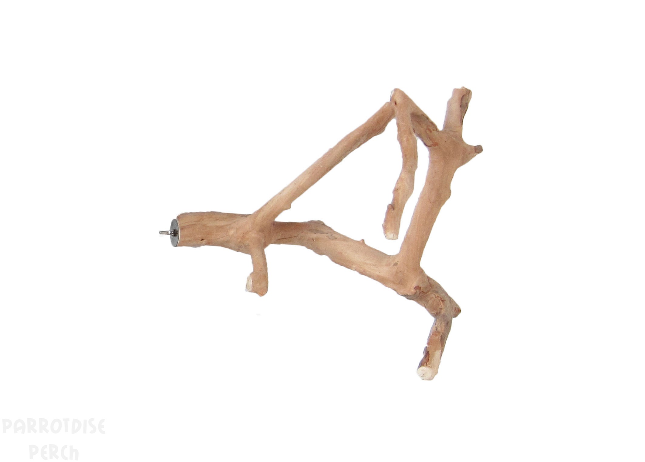 Java Multi Branch Small