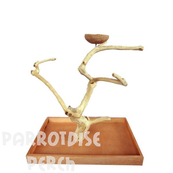 Tabletop Java Tree - Large