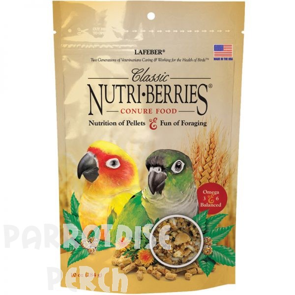 Classic Nutri-Berries Conure 10 oz