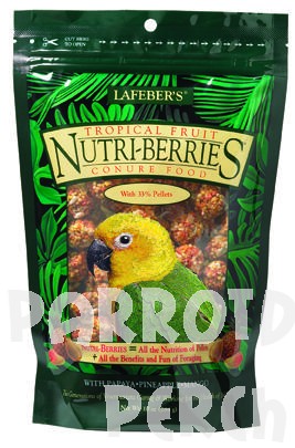 Nutri-Berries Tropical Fruit Conure