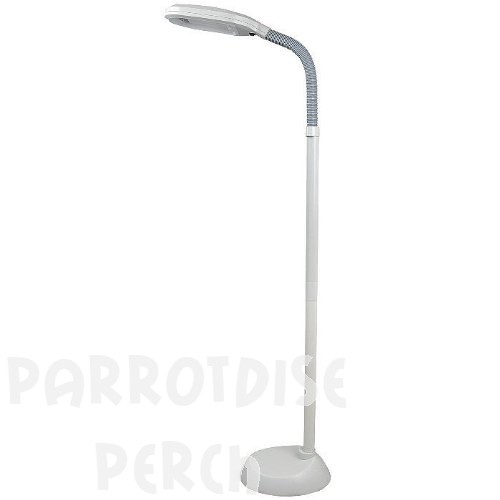 Floor Lamp with Full Spectrum
