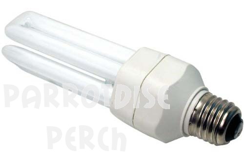 Fluorescent Compact Light