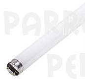 Fluorescent Lamp 2 feet