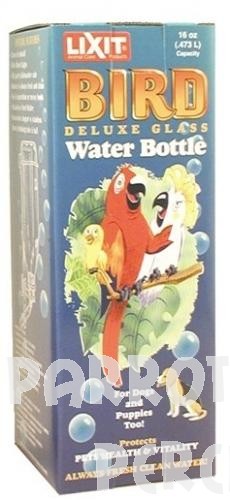 Heavy Glass Bottle 16 oz Large Tube
