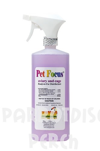 Pet Focus