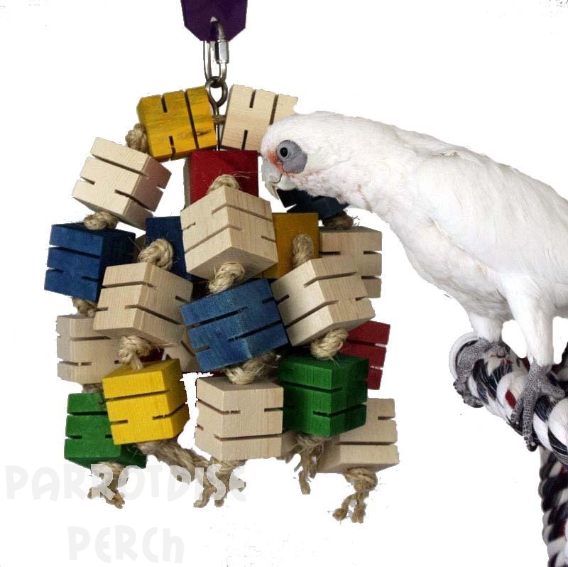 Avian Block Party - Maze Muncher Medium