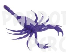 Neon Scorpion